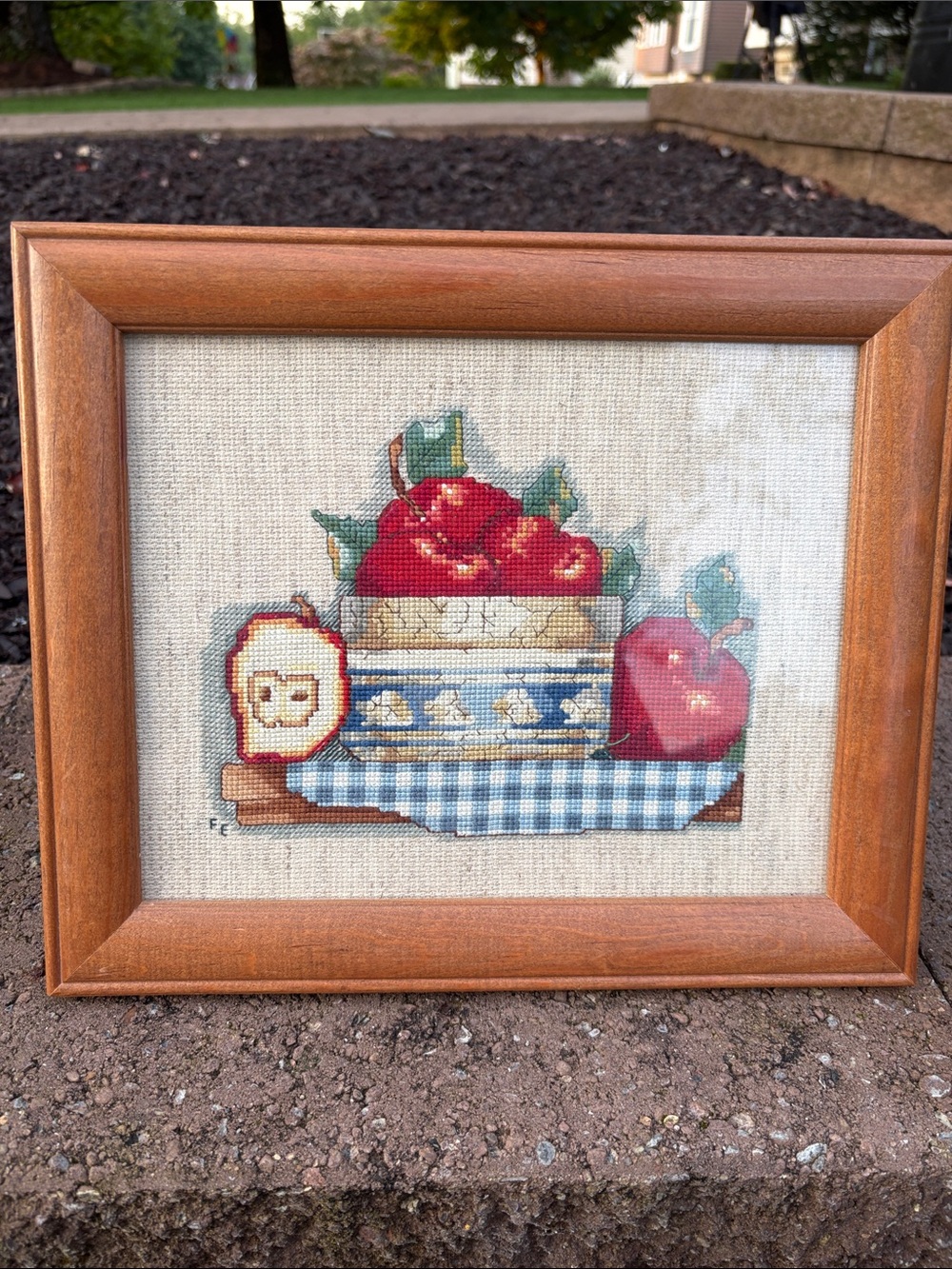 Grandmacore  country Framed Cross Stitch Apple Still Life - Red Apples